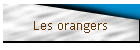 Les orangers